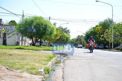 Oscura historia de amor de un mono suelto en calles de Paran�
