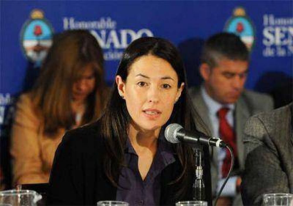 El Programa de Inclusi�n El�ctrica alcanzar� a 100 mil viviendas de villas y barrios carenciados