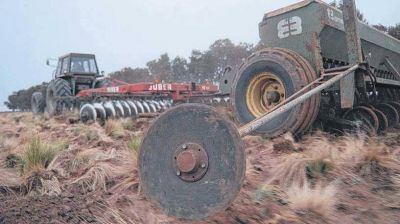 Tendr�n m�nimo impacto los reintegros a los productores