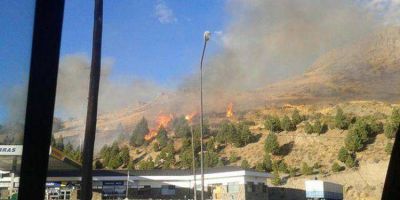 Demoran a cuatro menores que intentaban prender fuego un pinar