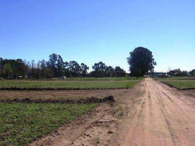Loteo de Corpico: salen quince terrenos a la venta