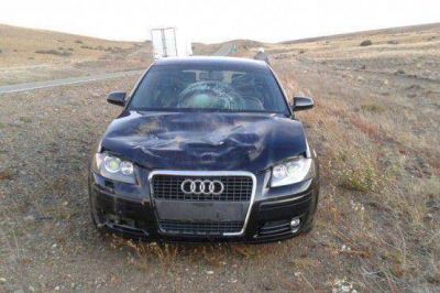 Un rodado colision� con un guanaco cuando circulaba por la ruta N� 40