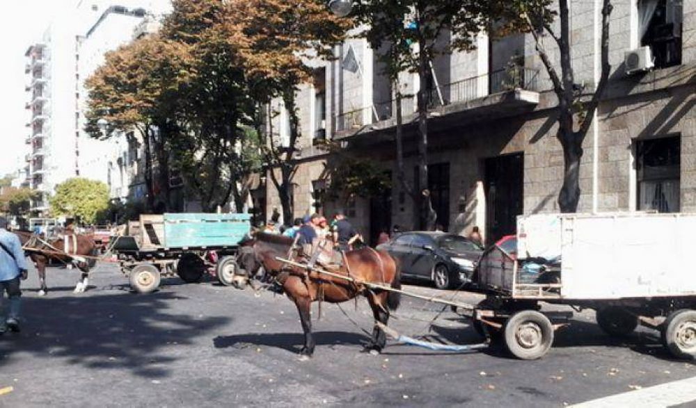 Cartoneros se manifestaron con sus carros y caballos frente al municipio