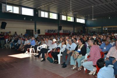 Detalle de la votaci�n del congreso radical, departamento por departamento 