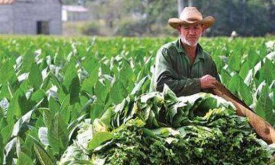 Concretar�n los pagos a productores afectados por temporales