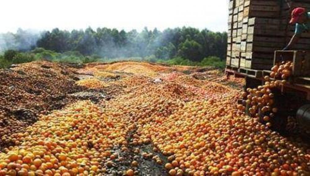 Mocoreta: basural lleno de frutas arrojadas por productores tras protesta