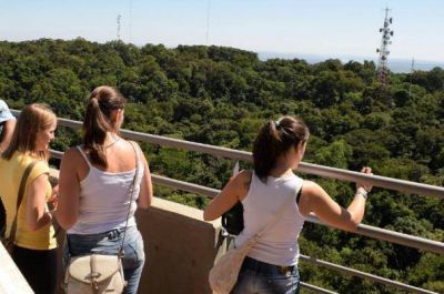 Tras aluvi�n de extranjeros en Iguaz�, misioneros buscan otros destinos