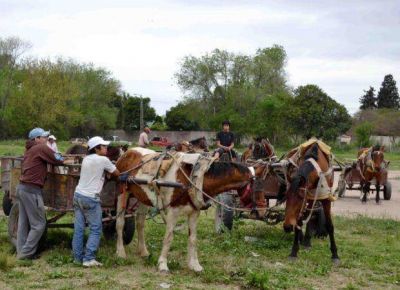 Proponen reemplazar por motos los carros tirados por caballos