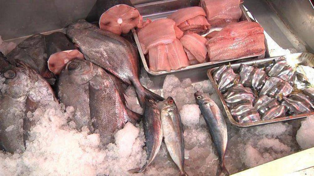 No se detectaron irregularidades en comercios que venden pescados
