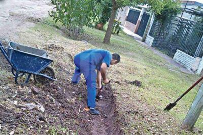 Barrio Del Tr�nsito: con carretilla y pala los vecinos limpian zanjas