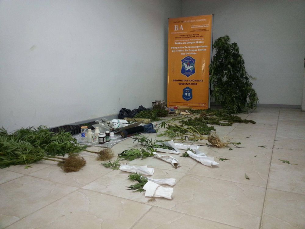 Logran desbaratar banda que vend�a drogas: dos detenidos