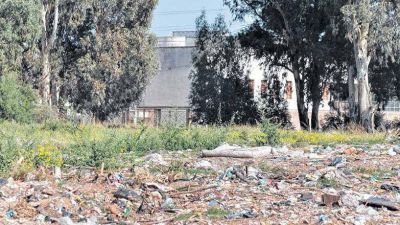�En 20 a�os nunca vi tantos llamados por los roedores en las casas�