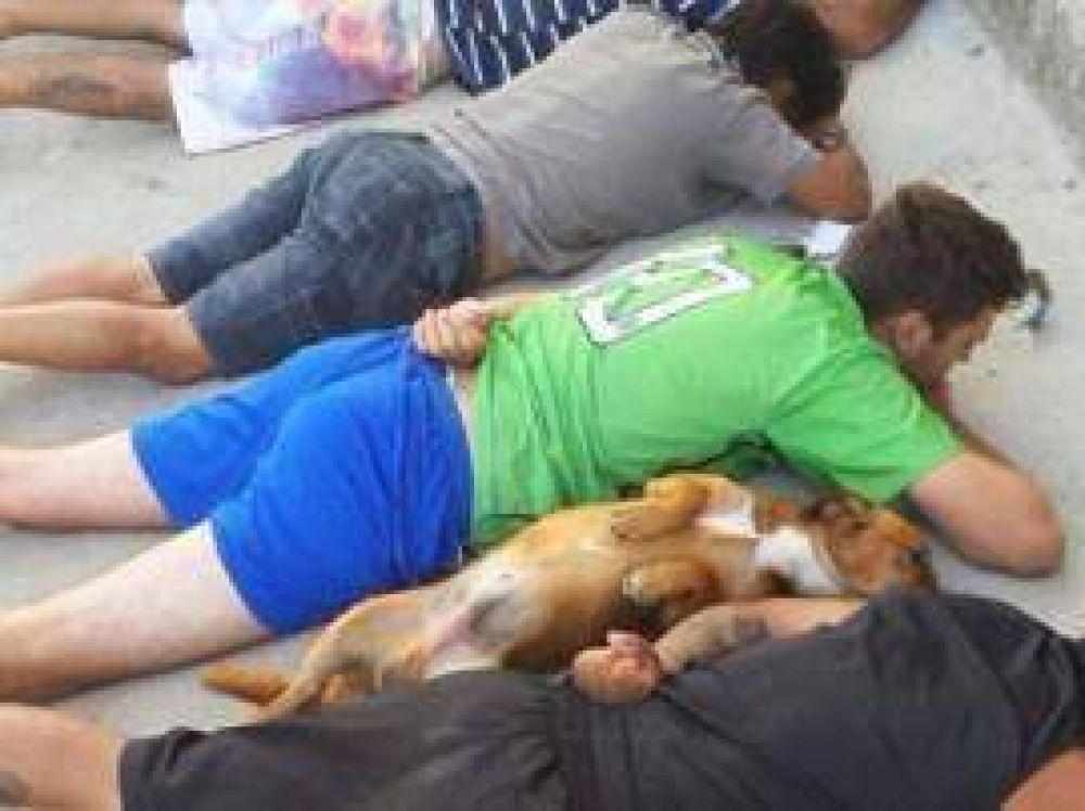 Un perro se rindi� junto a una banda de delincuentes