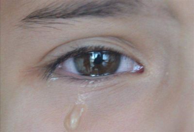 Abuso sexual: hay m�s de una denuncia por d�a en Salta