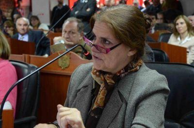 �Si hay voluntad judicial de avanzar en la investigaci�n el fiscal tomar� nota de nuestra segunda presentaci�n�