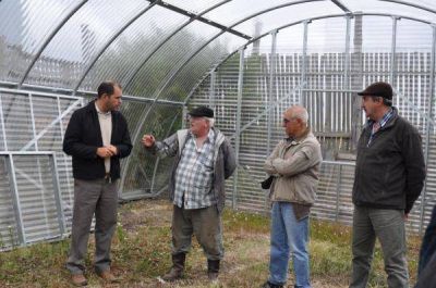 Buscan una producci�n hort�cola local a escala para el autoabastecimiento