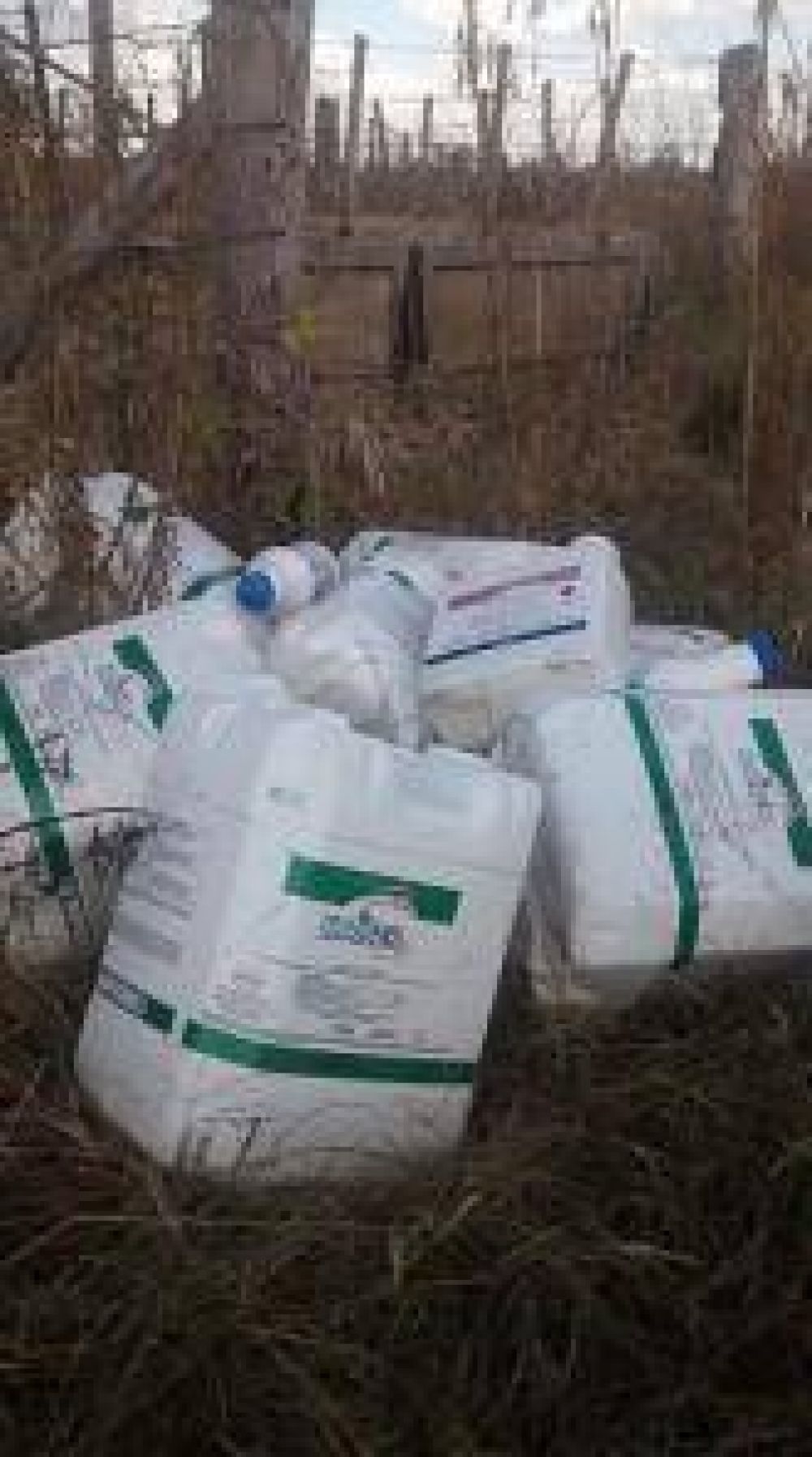 GRAVE VIOLACI�N A ORDENANZA de AGROQUIMICOS