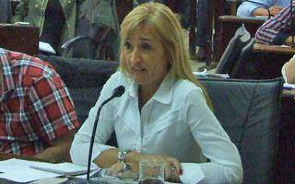 �El Intendente pint� una realidad que no se condice con la que vemos�