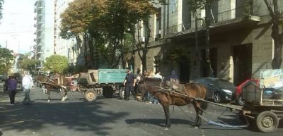 �Pulti no nos deja trabajar porque tiene el predio de reciclado�