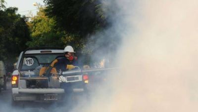 Dengue: ya son 122 los casos confirmados en C�rdoba