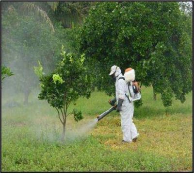 Explican la necesidad de fumigar con productos �poco peligrosos� y de cultivar en zona urbana
