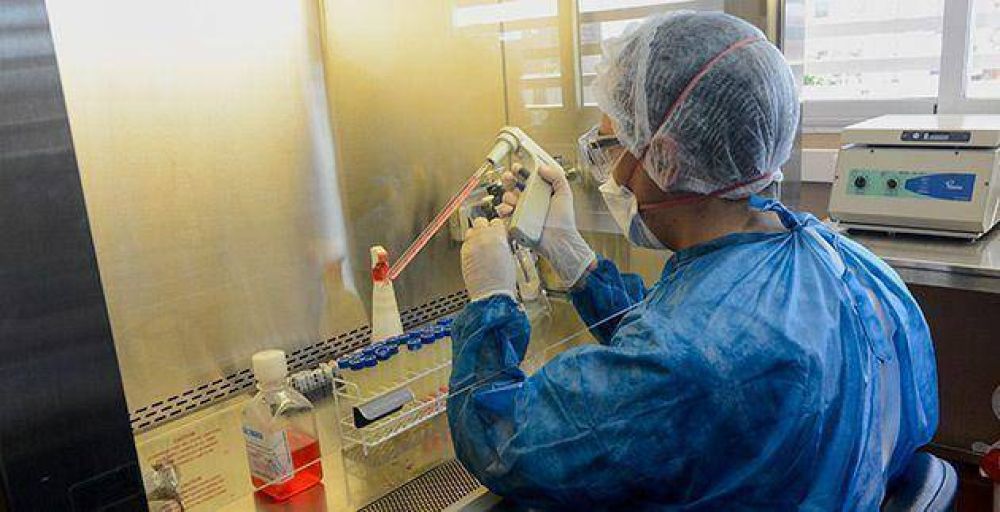 Un r�pido diagn�stico en salud permite prescribir el tratamiento necesario