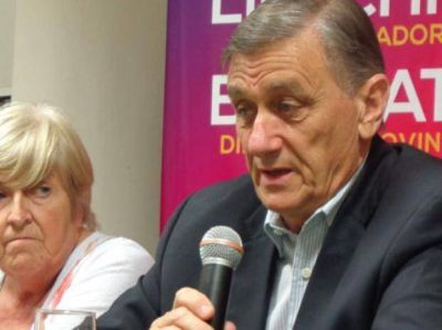 Binner: el caso mellizos fue parte de una 