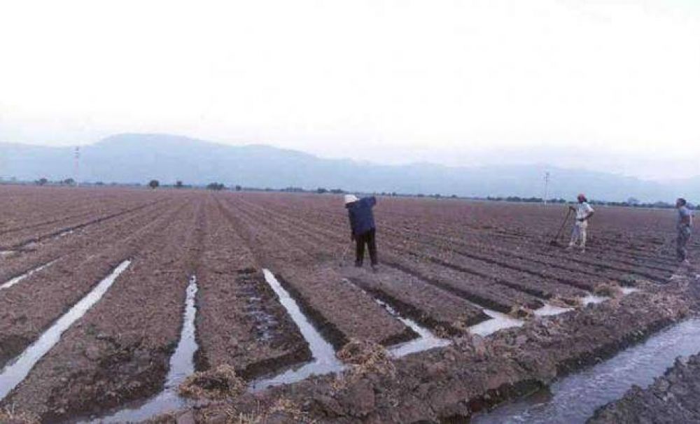La provincia endeudar� a los salte�os para beneficiar a grandes productores agropecuarios