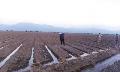 La provincia endeudar� a los salte�os para beneficiar a grandes productores agropecuarios
