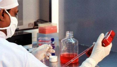 Un desarrollo cordob�s para mejorar el tratamiento del c�ncer