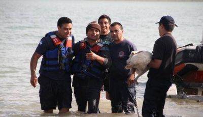 Buscaron por 4 horas a un hombre perdido en el dique