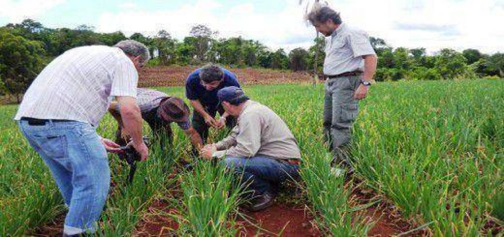 La Provincia entregar� cr�ditos a 500 productores e industriales de Misiones