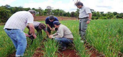 La Provincia entregar� cr�ditos a 500 productores e industriales de Misiones