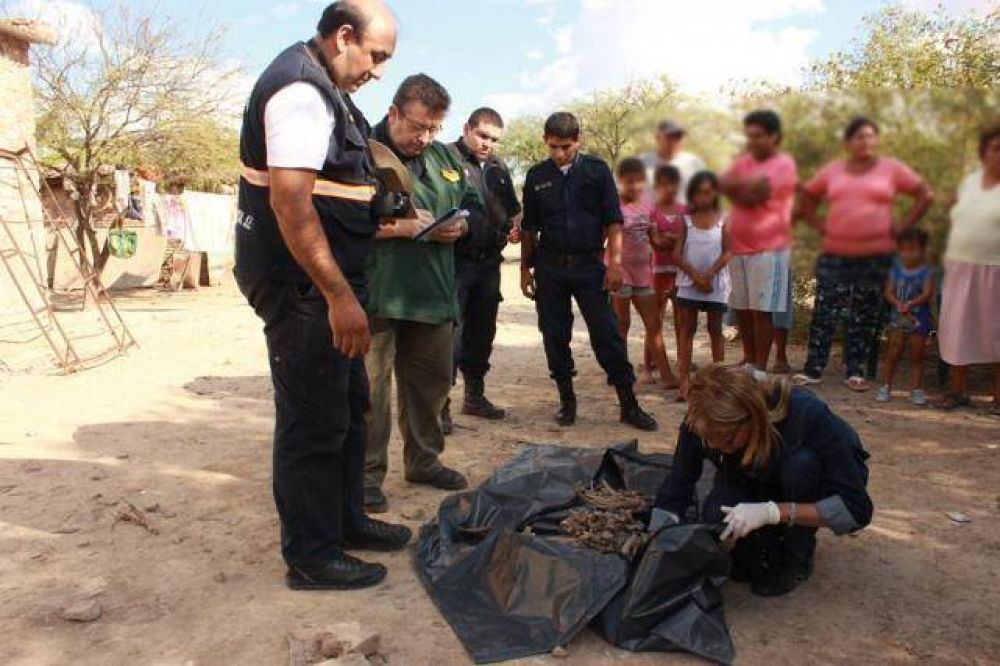 Macabro: Encuentran un cr�neo con cabellos en medio de un basural