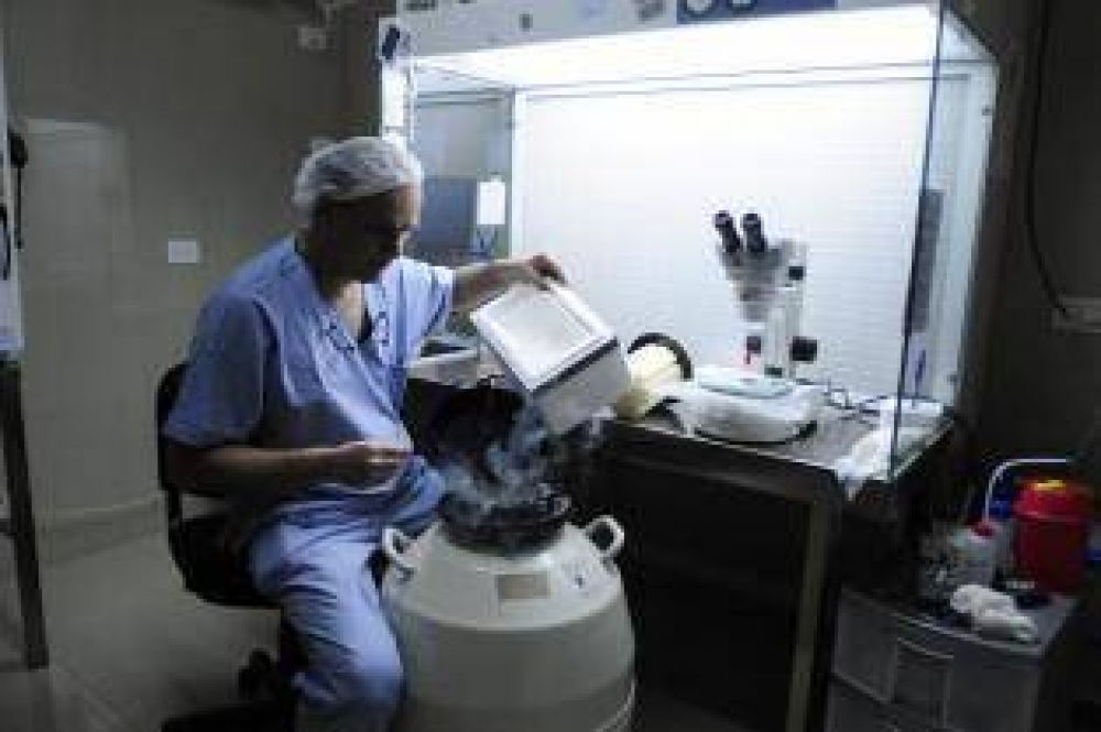 Mujeres j�venes congelan los �vulos para postergar el sue�o de ser mam�