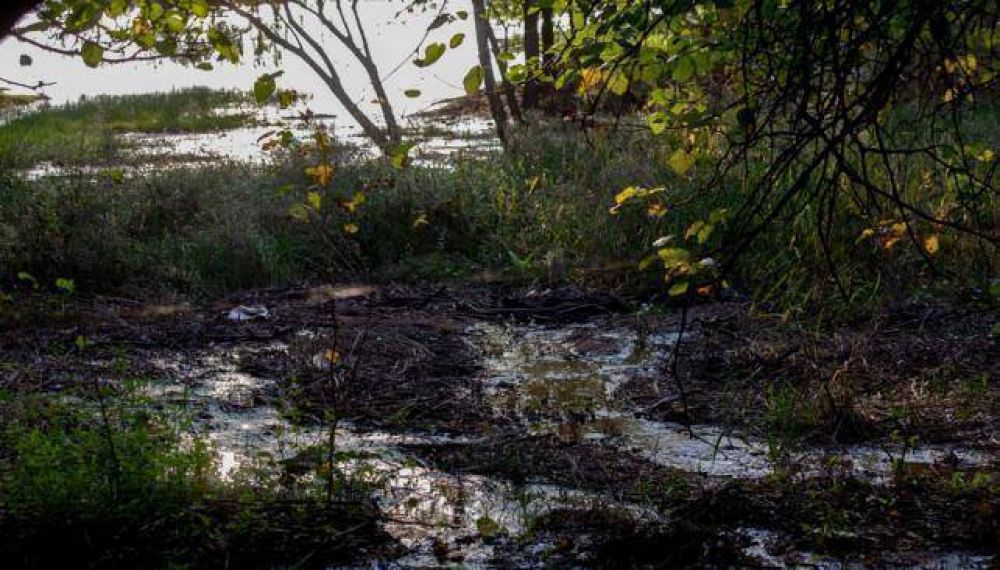 Planta cloacal desbordada arroja desechos al lago