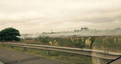 Incendio en el basural de Baradero: Control sobre la ruta 9