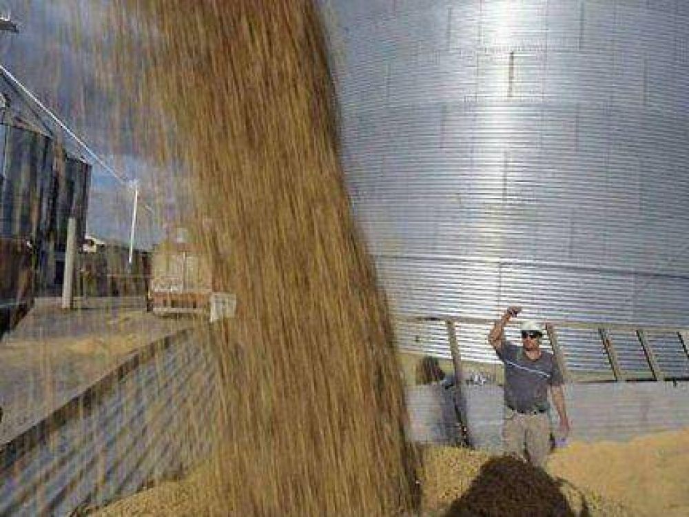  Productores vuelven a retener soja, aunque no se pronostica un repunte de precios