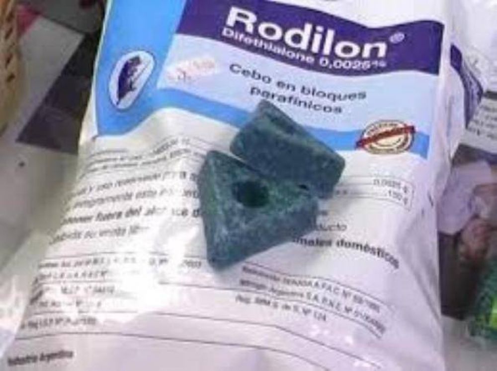 En Posadas se venden cada vez m�s los venenos contra ratas