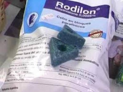 En Posadas se venden cada vez m�s los venenos contra ratas
