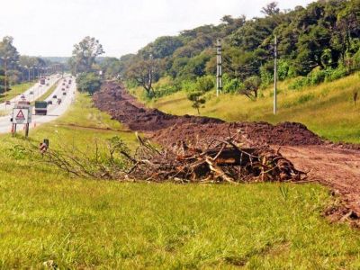 Avanzan los trabajos en colectora