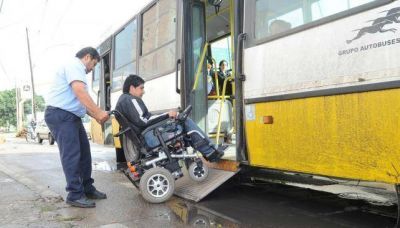 Los �mnibus adaptados, lejos de lo prometido