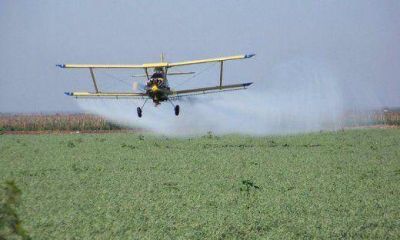 Monte Ma�z: presentan proyecto para prohibir fumigaciones