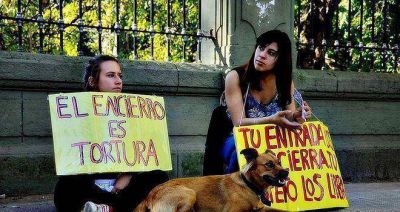 Reclaman el cierre del Zool�gico de La Plata y piden que sea convertido en un jard�n bot�nico