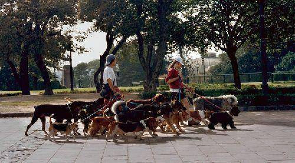 Los paseadores de perros tendrn que estar registrados y tener una credencial en vigencia