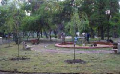 La direcci�n de Parques y Paseos municipal colocar� m�s �rboles en la ciudad