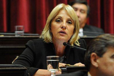 Discriminaci�n � Liliana Fellner repudi� las declaraciones de �Juanse�