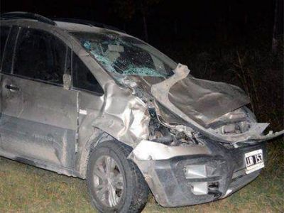 Un auto embisti� una vaca y su conductor fue derivado al hospital