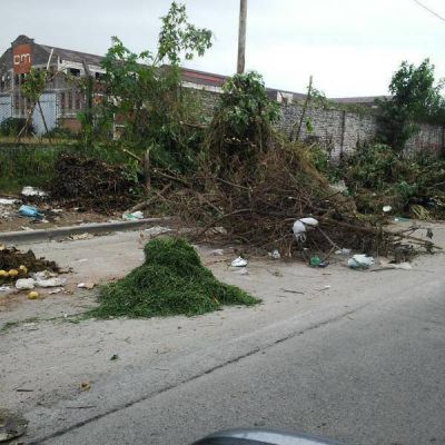 Denuncian la proliferaci�n de basurales a cielo abierto