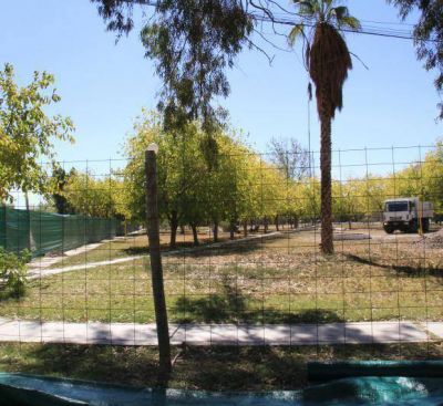 No tienen permiso de tala y les suspendieron la obra